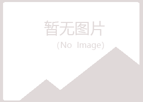 宁夏字迹能源有限公司